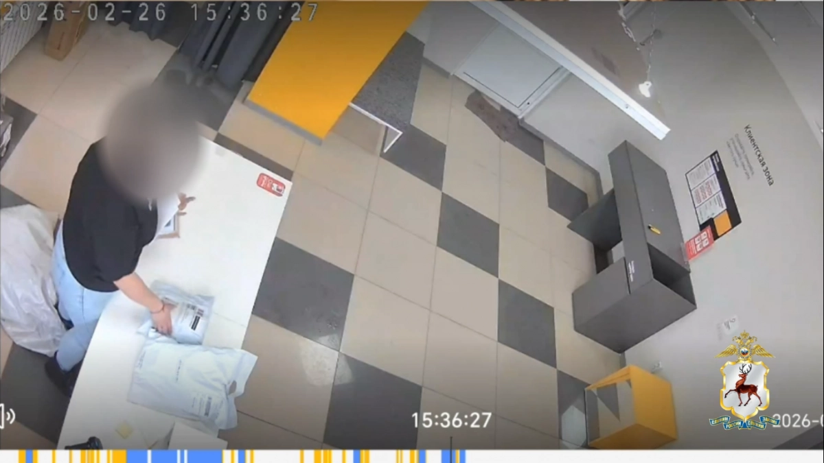 Сотрудницу ПВЗ в Нижнем Новгороде поймали на краже товара почти на 100 тысяч рублей