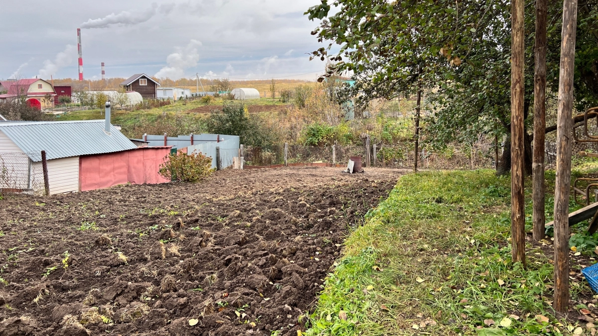 Миска крупы вместо 10 кг навоза: бросаем прямо на снег - весной почва будет мягкой, словно пух