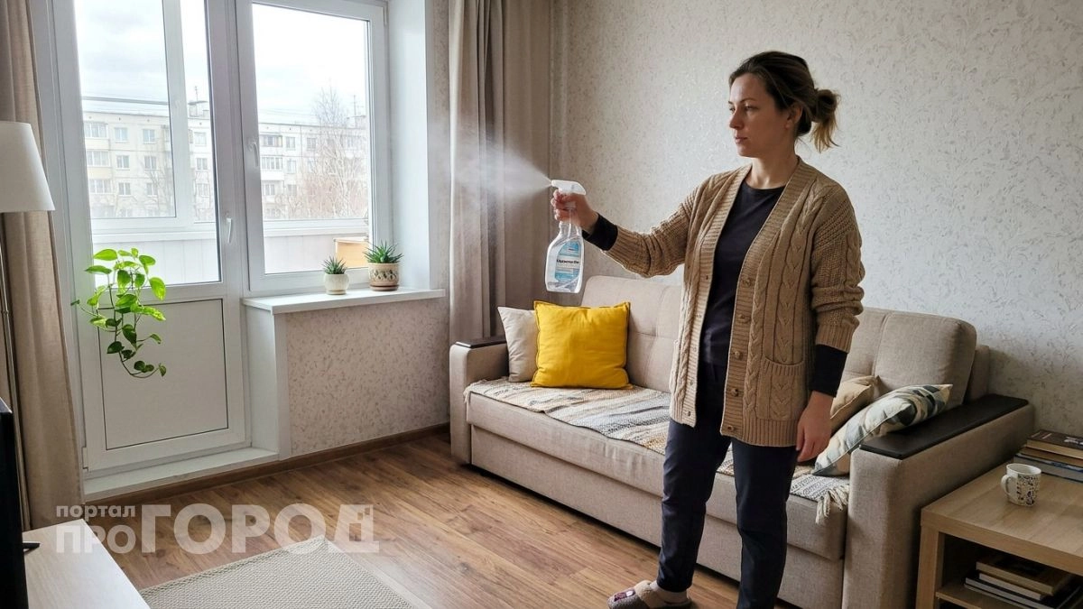 Освежители воздуха – пережиток прошлого: беру два продукта – и в квартире пахнет лучше, чем после покупных аэрозолей