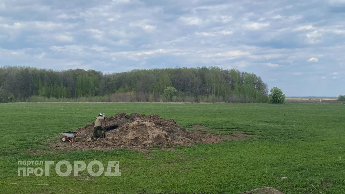 Нижегородец попался на махинациях с земельными участками на 140 миллионов рублей