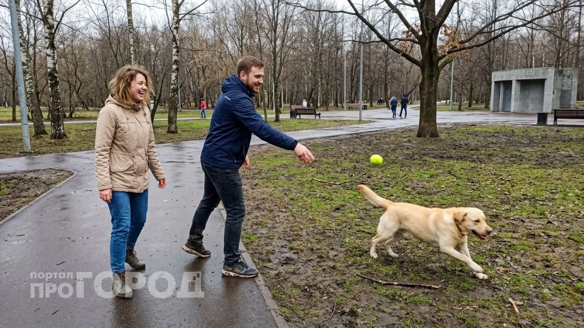 Схватывают команды на лету и не упрямятся: 5 пород для тех, кто никогда раньше не держал собаку