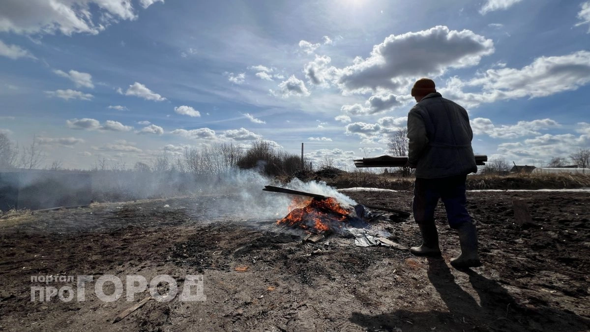 Роспотребнадзор предупредил нижегородцев, почему обычная уборка на даче может закончиться "мышиной" болезнью