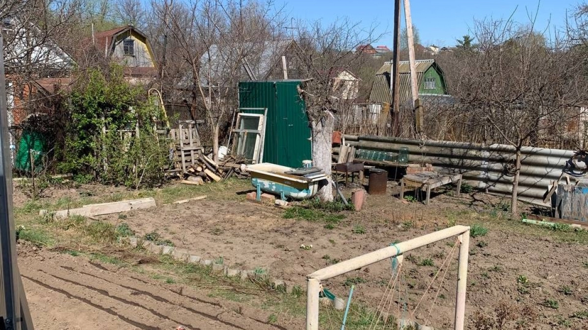 Март принес новые правила: за какие растения на участке дачникам придется выложить до 50 тысяч