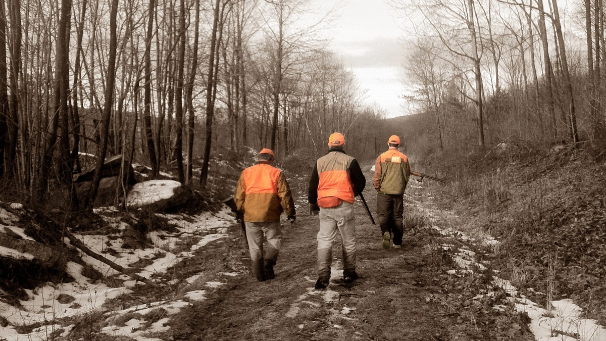 Сезон охоты, новые законы с 1 апреля и происшествия: главные новости за 29 марта