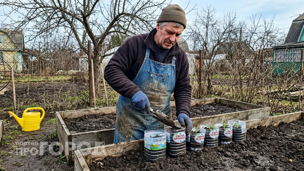Не выбрасываю пластиковые бутылки с осени и к лету собираю набор из 5 хитрых дачных приспособлений