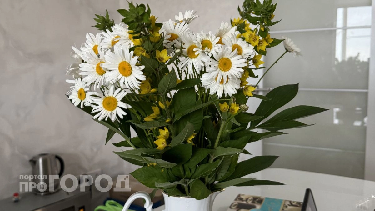 Невидимый яд на подоконнике: биолог составил список из 7 растений, провоцирующих головные боли - избавьтесь от них, пока не поздно