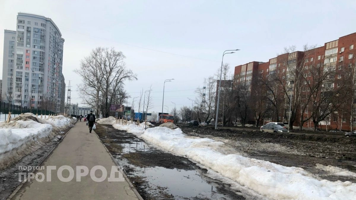 В Нижегородской области начали цвести растения, опасные для аллергиков