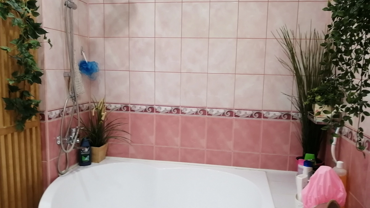 Ванны и души ушли в прошлое: новая мода из-за бугра набирает обороты у россиян