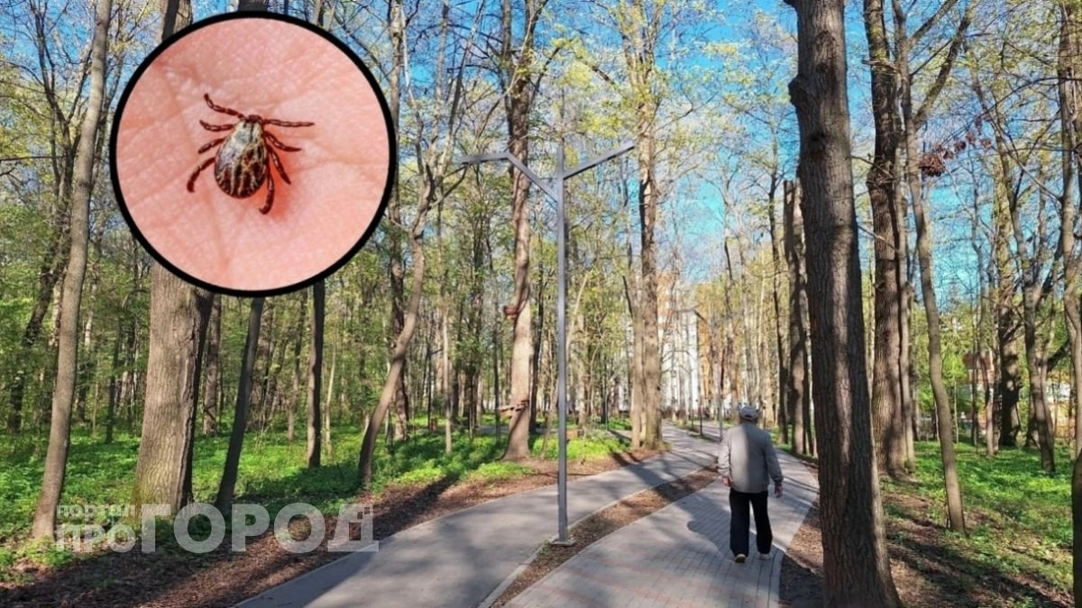 Всего 2 пшика этим копеечным средством и клещи бегут от меня: привычные репелленты – прошлый век