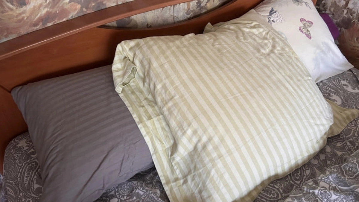 Многолетняя пыль исчезнет за пару минут: простой и эффективный способ отчистить подушки не выходя из дома