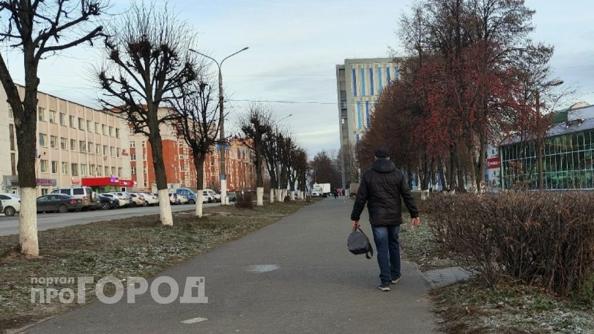 Житель Балахны вместо машины за 1,7 миллиона купил воздух