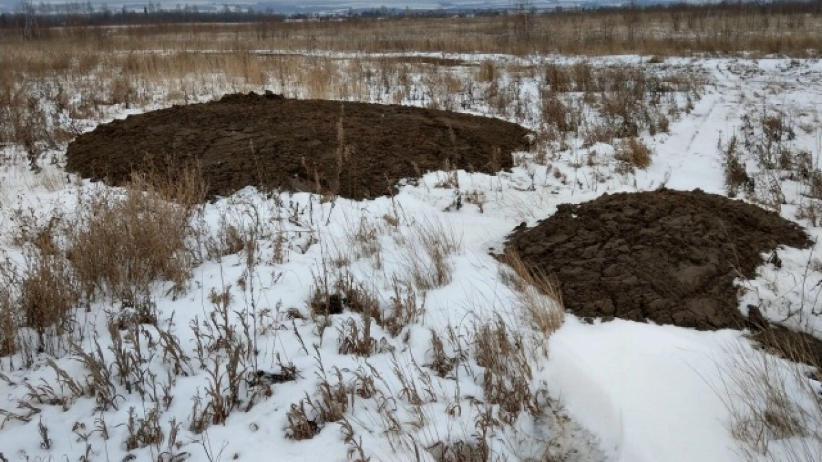 В Нижегородской области обнаружили завалы свекольных отходов на несколько гектаров