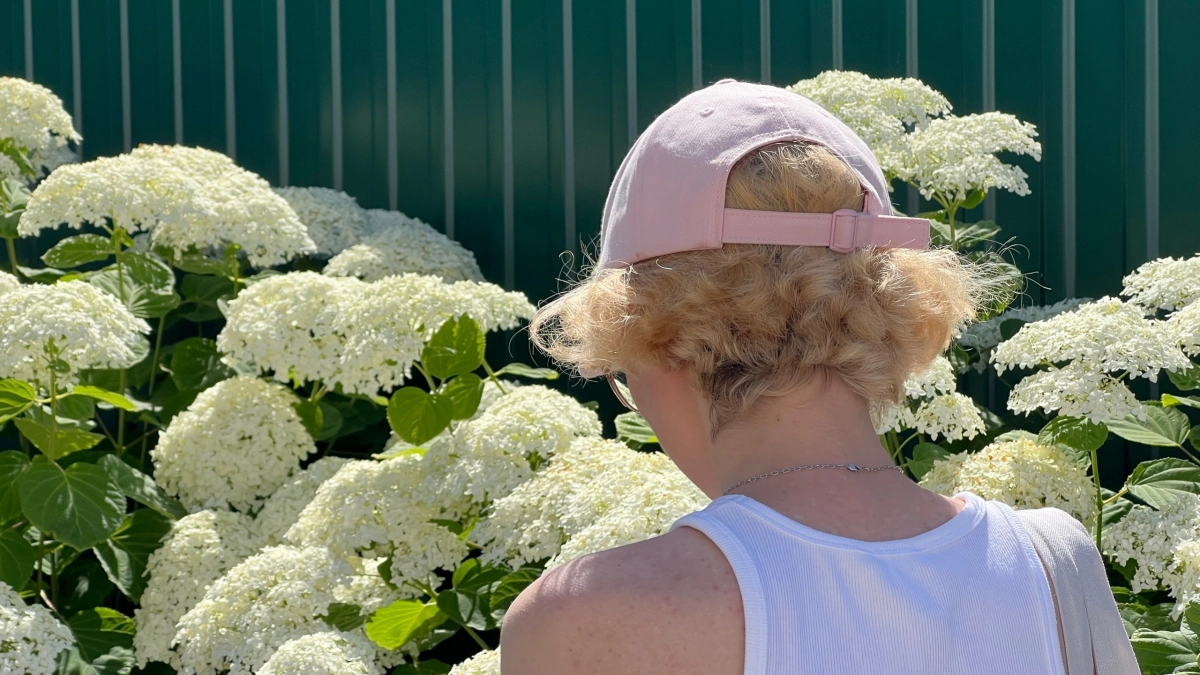 Теперь поливаю цветы только так: смешала дрожжи с сахаром, и клумба взорвалась бутонами