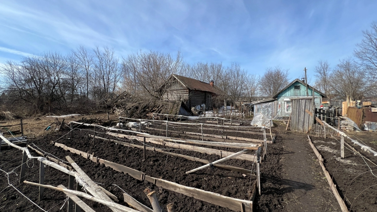 Теперь укрываю рассаду только: этот старый предмет защищает ростки от заморозков лучше любого спанбонда