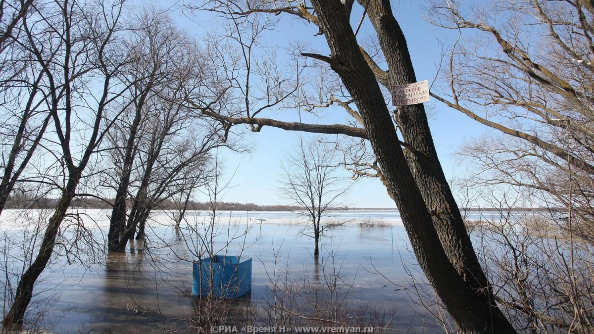 Паводок в Нижегородской области затопил три моста и 28 придомовых территорий