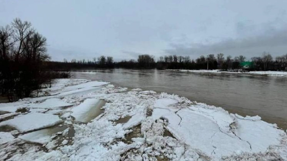 Паводок в Городецком округе: под угрозой подтопления посёлок и дачи