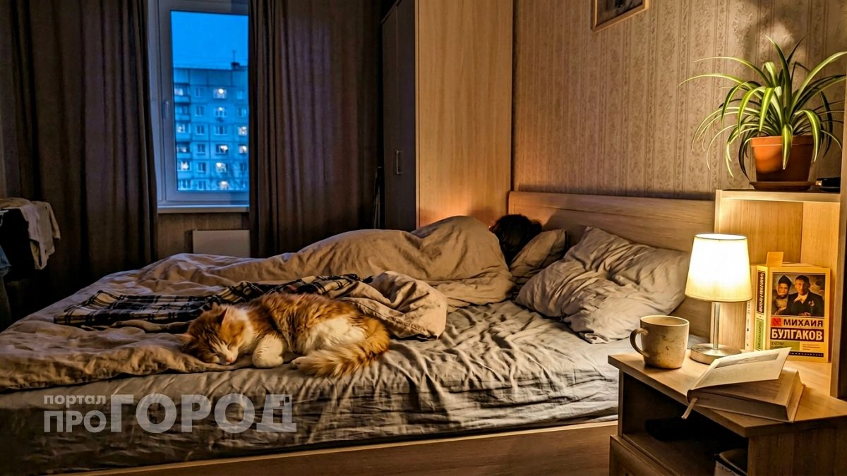 Если ваша кошка ложится именно в ноги — она посылает вам сигнал, который нельзя игнорировать