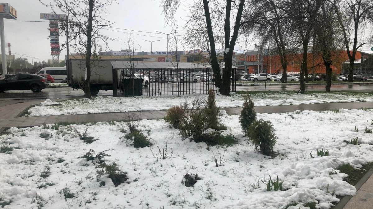 Апрель вернет зиму всем: мокрый снег пройдет в нескольких регионах Центральной России