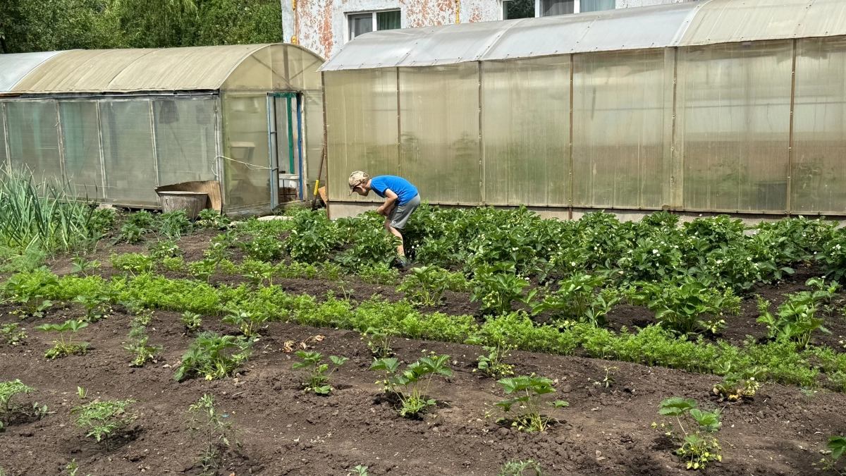 Чего ждать дачникам летом 2026 после снежной зимы: запомните это обязательно