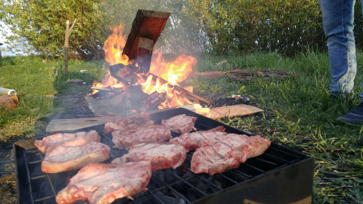 Поставил мангал у забора — получи штраф на 15 тысяч: как дачники нарушают закон, не зная об этом