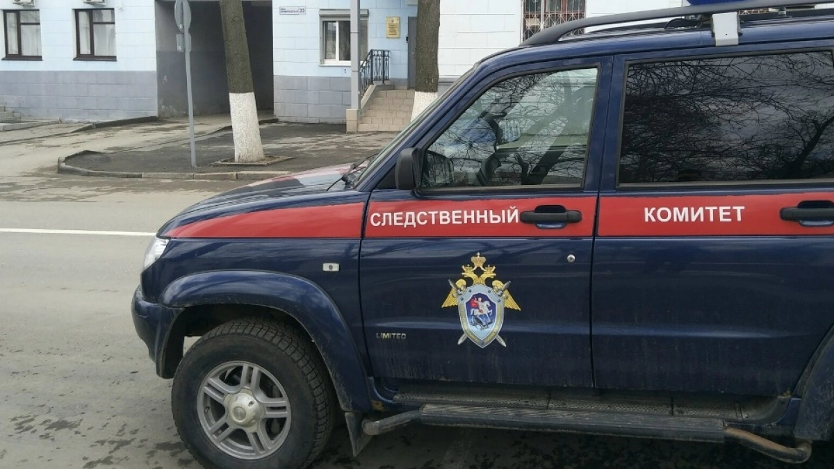 Маркетолог нижегородского автоперевозчика превратил закрытые торги в открытый бизнес