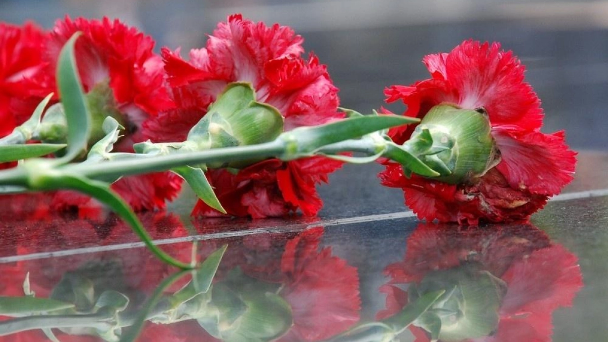 Среди погибших на СВО жителей Нижегородской области — педагог и художник