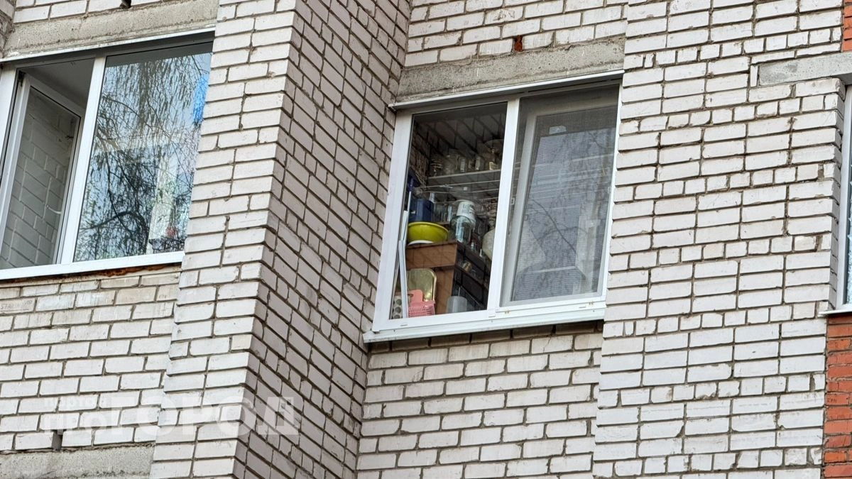 Нижегородцы могут встретить ГОСТ на москитные сетки, который появится ради безопасности детей