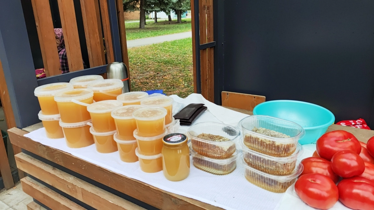 Йод и уксус больше не помогут: пасечник раскрыл секретный способ вычислить подделку за 30 секунд — запомните раз и навсегда