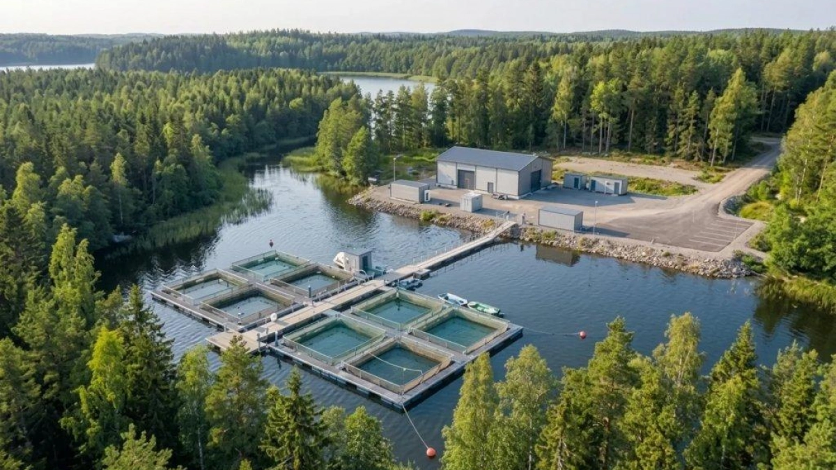 В Нижегородской области ищут инвестора для рыбоводного хозяйства за 16,7 млн рублей