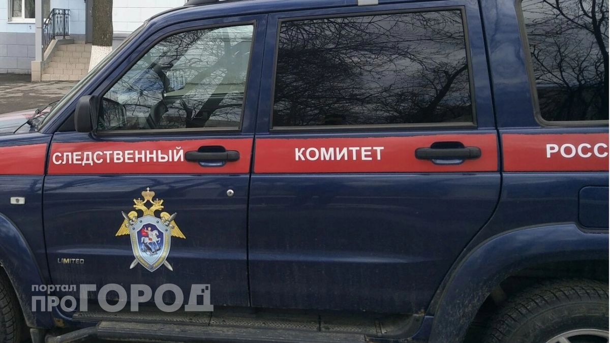 Бастрыкин поручил разобраться в деле о пенсионере, который напал на сноху с ножом