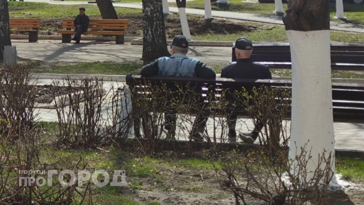 Пенсионер из Шахуньи заплатил за мотобуксировщик, который испарился вместе с продавцом