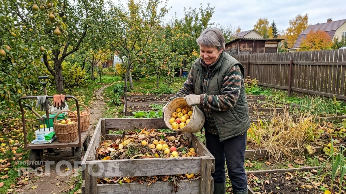 Никогда не отдаю излишки урожая соседям и отправляю их прямиком в компост: объясняю логику разумного садовода