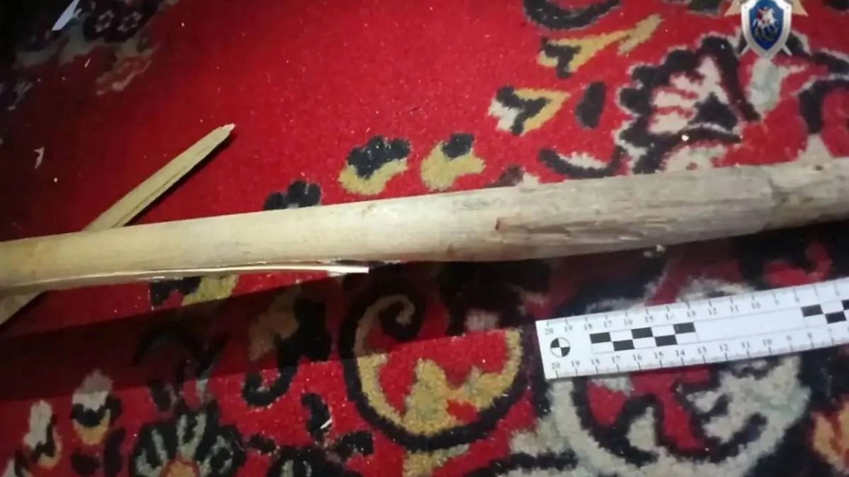 Жительница Починковского района насмерть забила приятельницу палкой