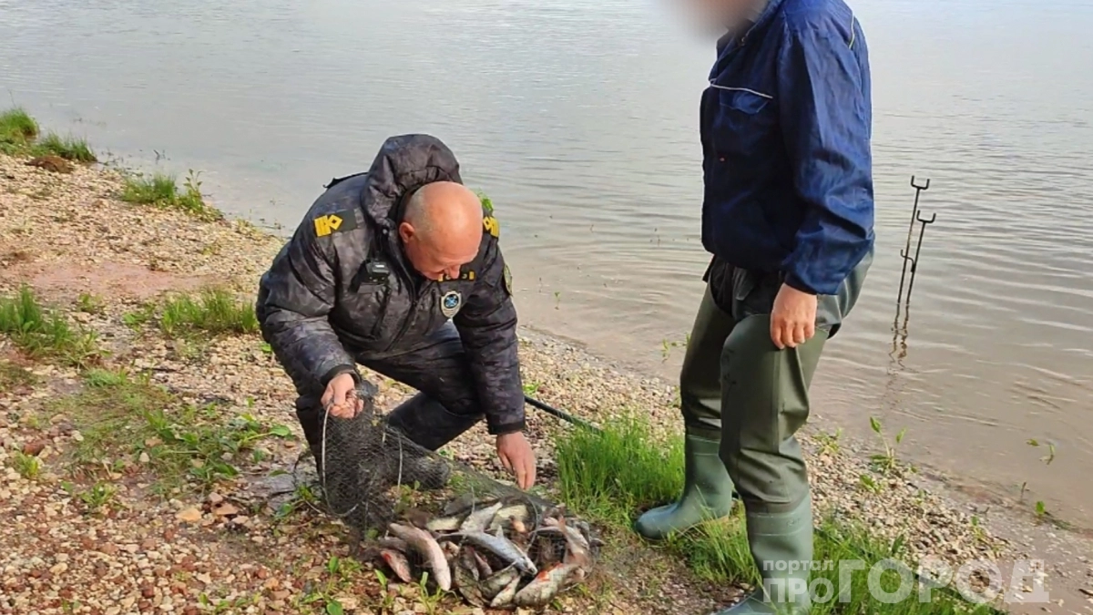 Уловов не ждите: вступил в силу нерестовый запрет 2026 - где, на что и сколько можно ловить