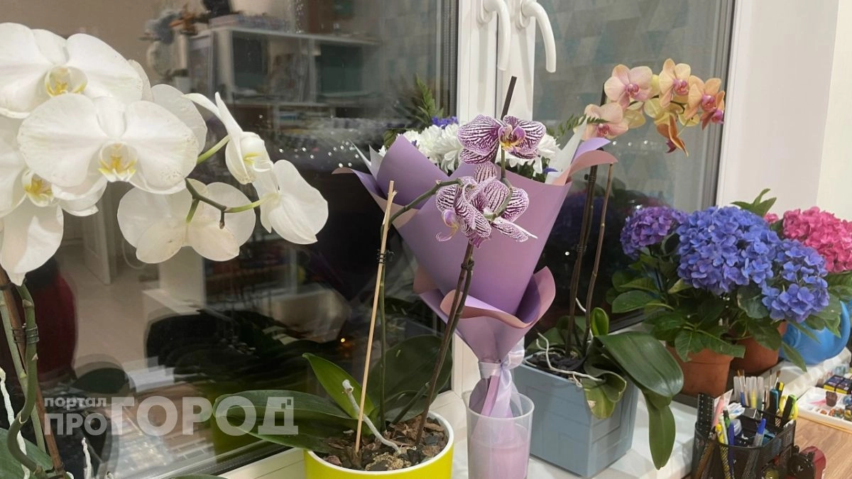 Нижегородка хотела украсить дом орхидеями, но осталась без денег и цветов