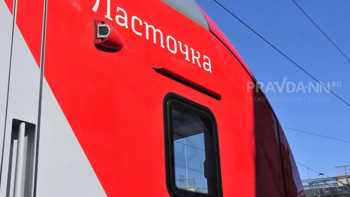 На «Ласточку» до Москвы теперь можно сесть по биометрии