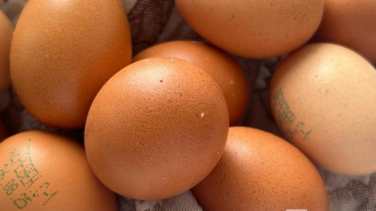 В Нижнем Новгороде госпитализировали людей, съевших по 10 яиц на Пасху