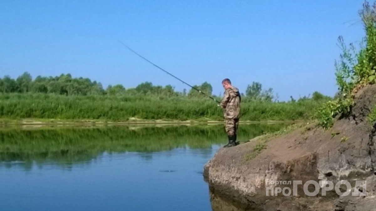 Поймал рыбу - заплати 0,5 млн руб:в апреле вступает в силу новый закон ловли - теперь рыбачить можно только так