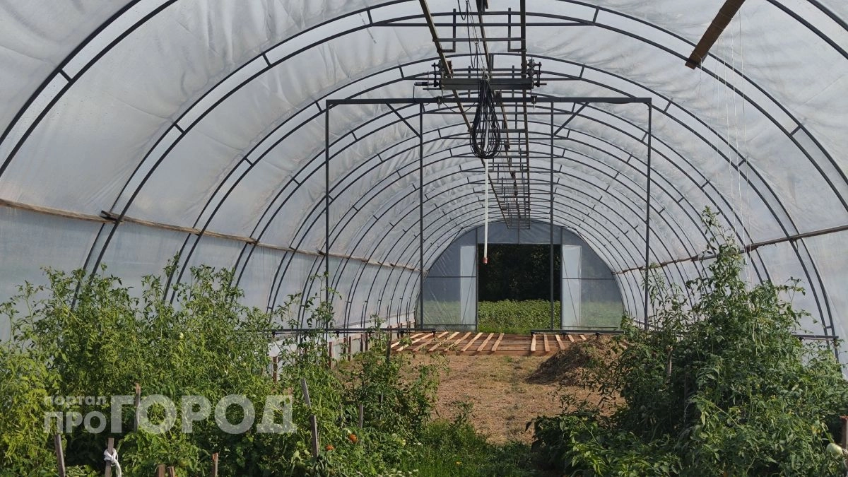 Восстанавливаем теплицу после урагана за 3 шага и без лишних затрат 