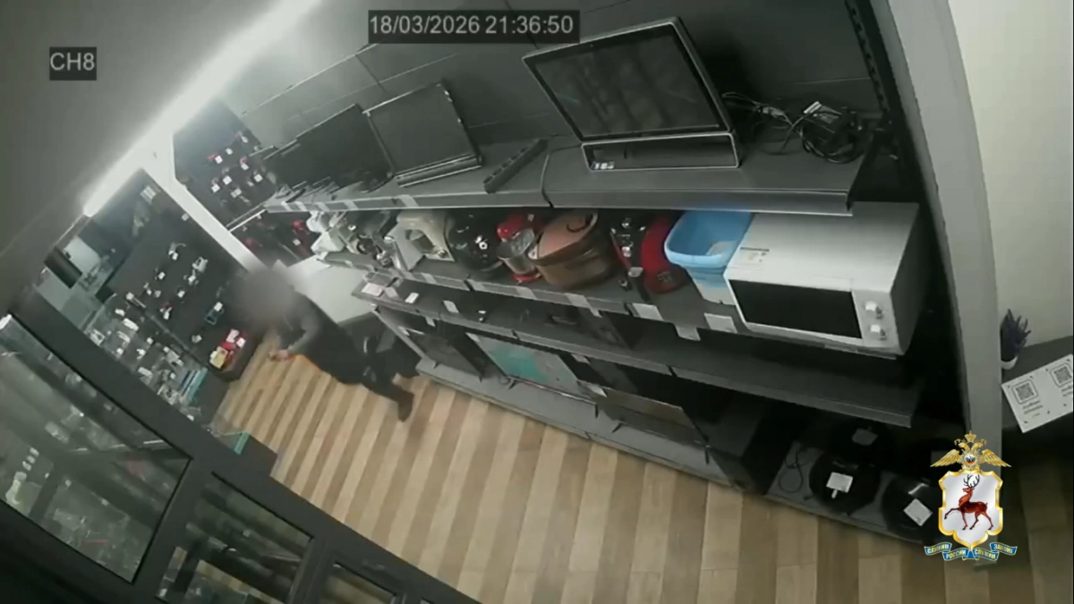 В Нижнем Новгороде задержали 26-летнего жителя Семенова за кражи телефонов из комиссионок