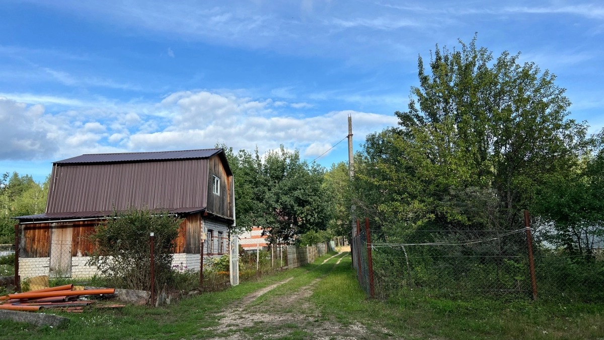 Вы делаете на даче змеиный приют своими руками: 5 нелепых ошибок дачников привлекают полчища змей