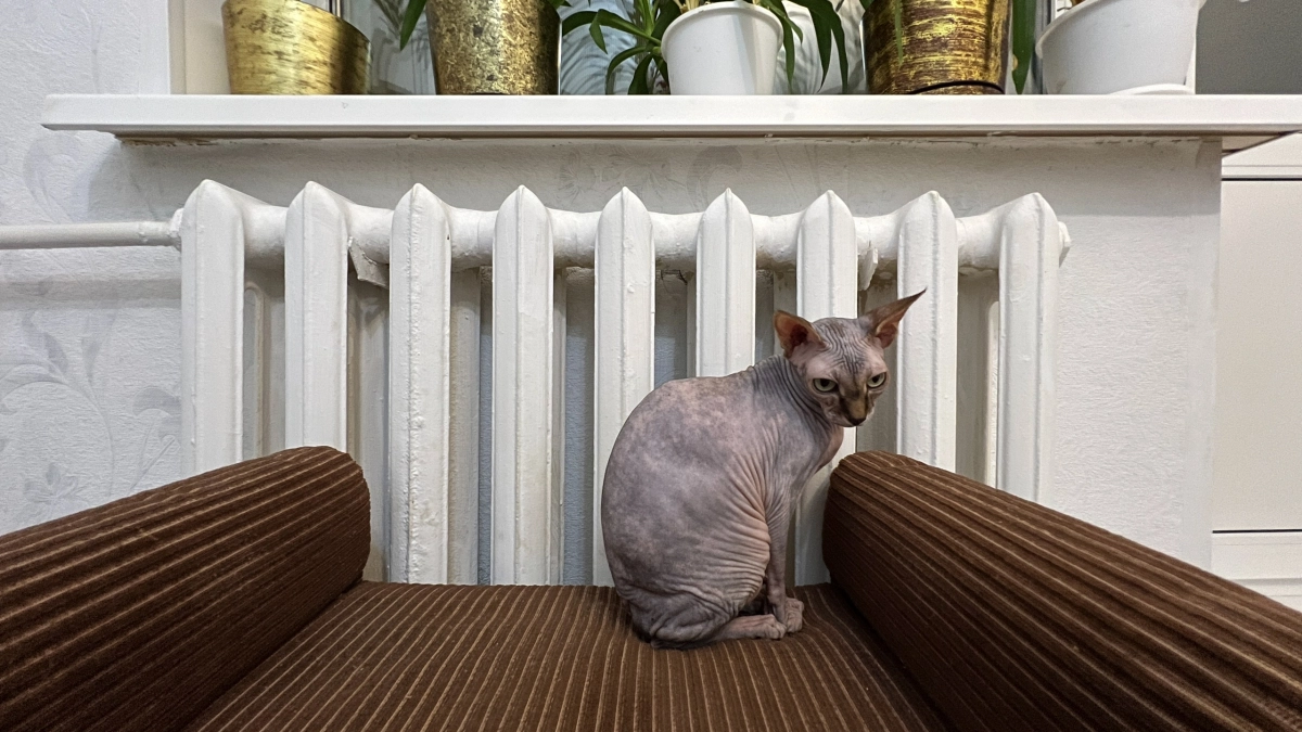 За окном тепло, а батареи жарят вовсю: названа точная дата отключения отопления в 2026 году