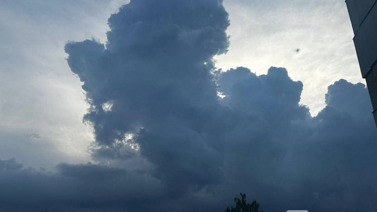 Порывы до 16 м/с: в Нижегородской области ожидается сильный ветер