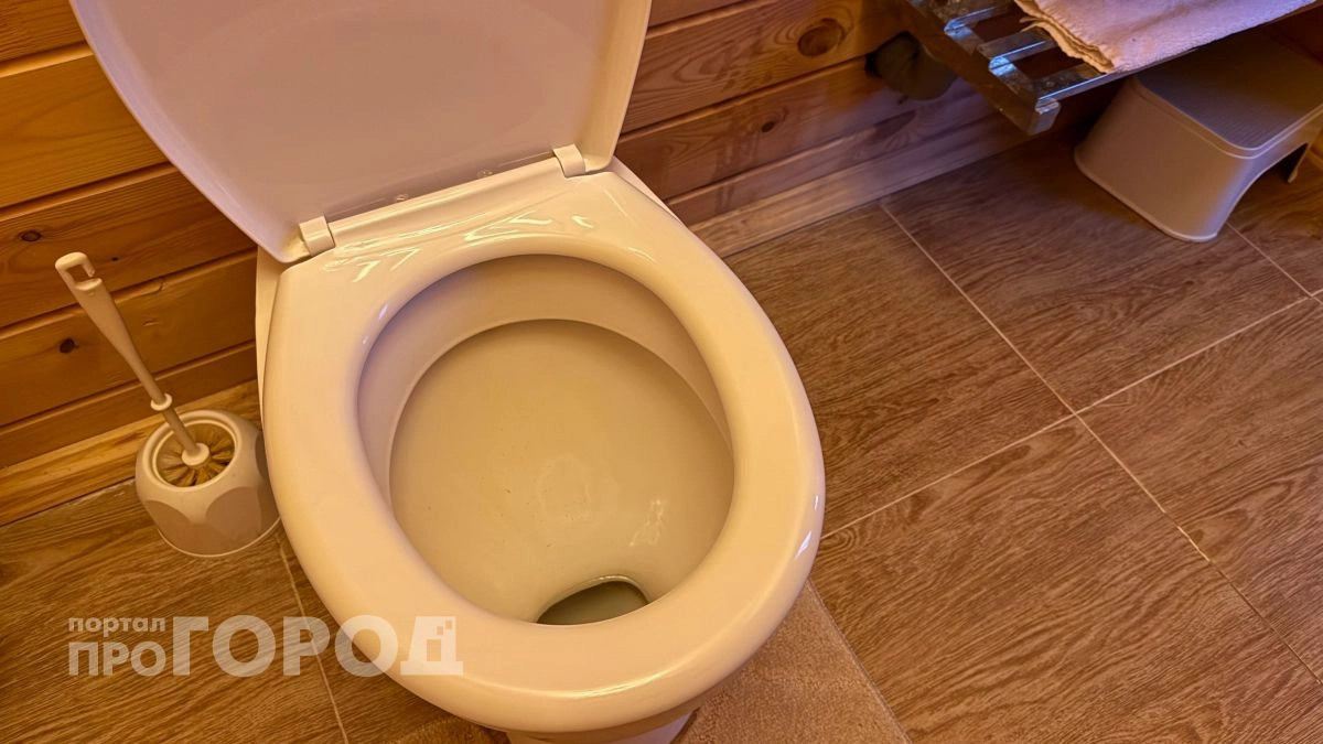 Случайно открыла новое средство для уборки - чайный гриб оказался лучше любой химии