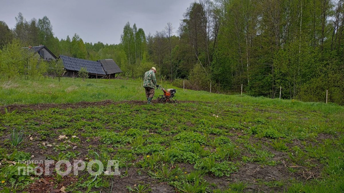Можно ли ставить забор без согласия соседа на самом деле - ошибка может стоить участком