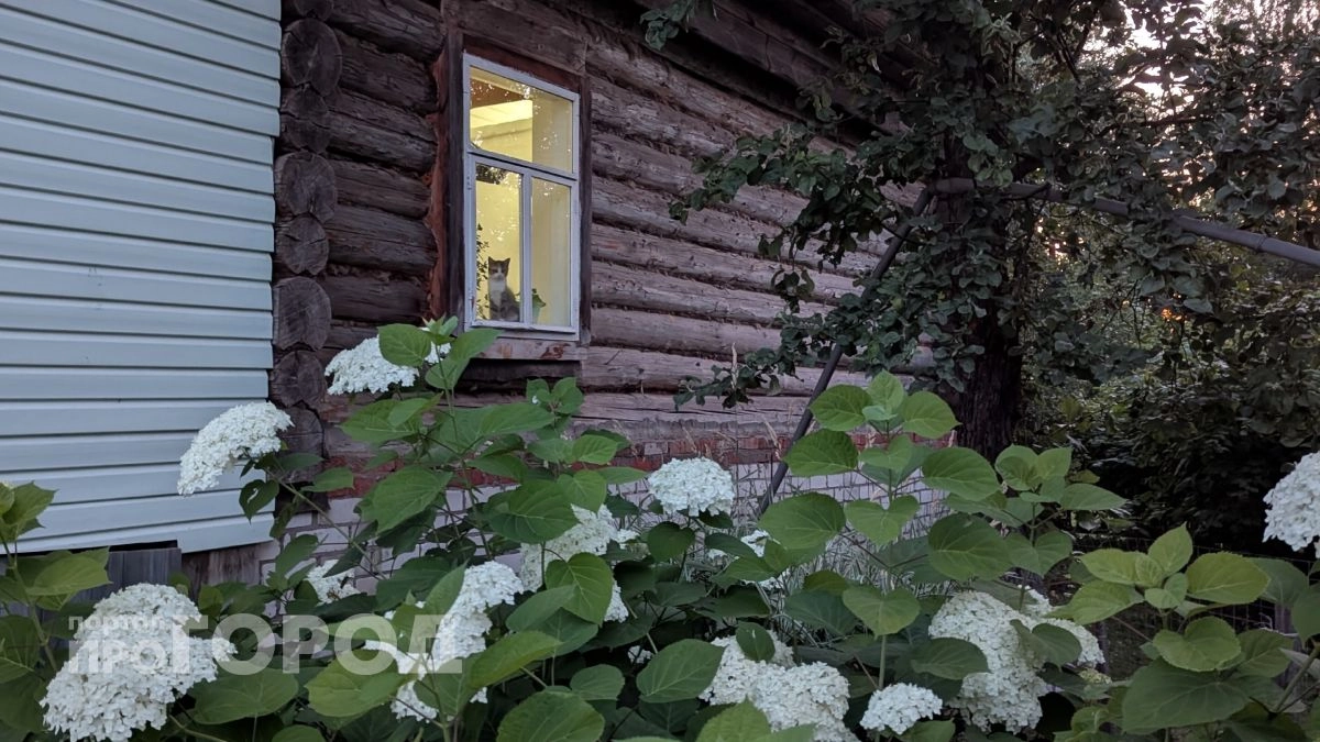 Кто виноват, если вода с крыши течет на соседний участок: разбираем по закону