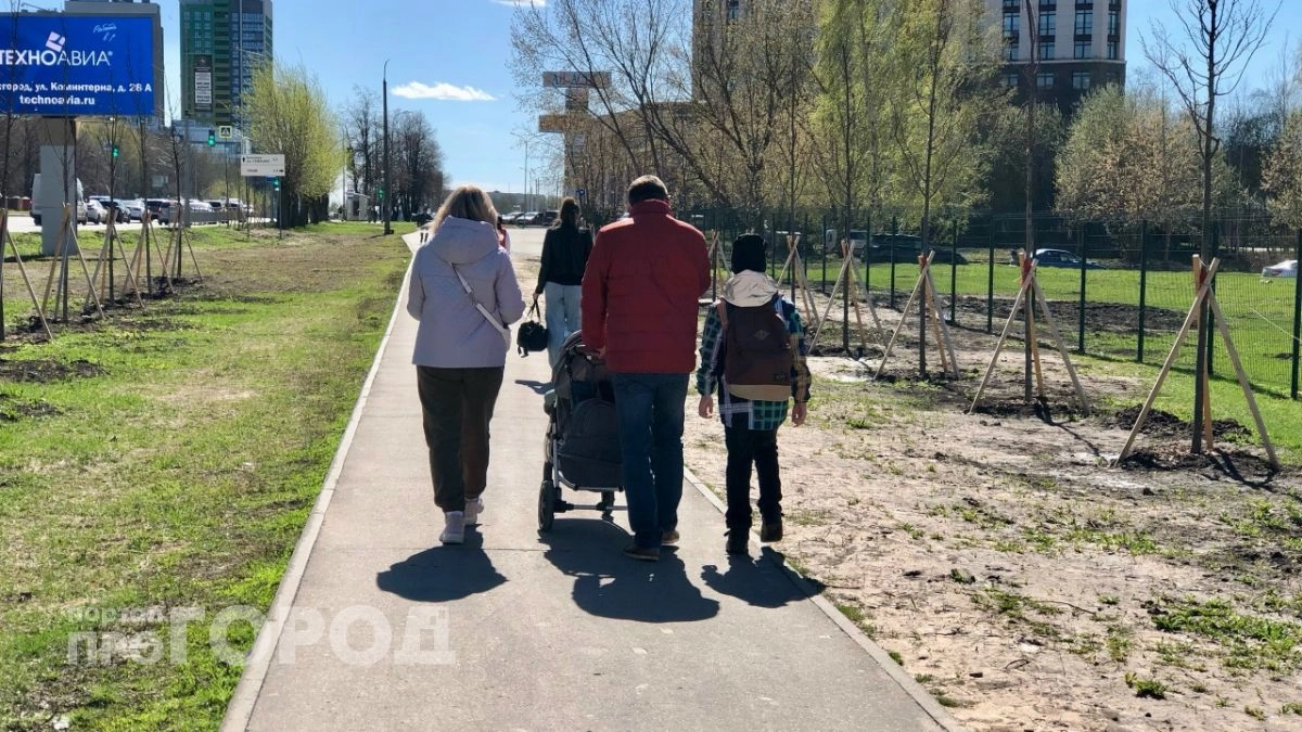 Приставам запретили забирать единственный транспорт у многодетных семей