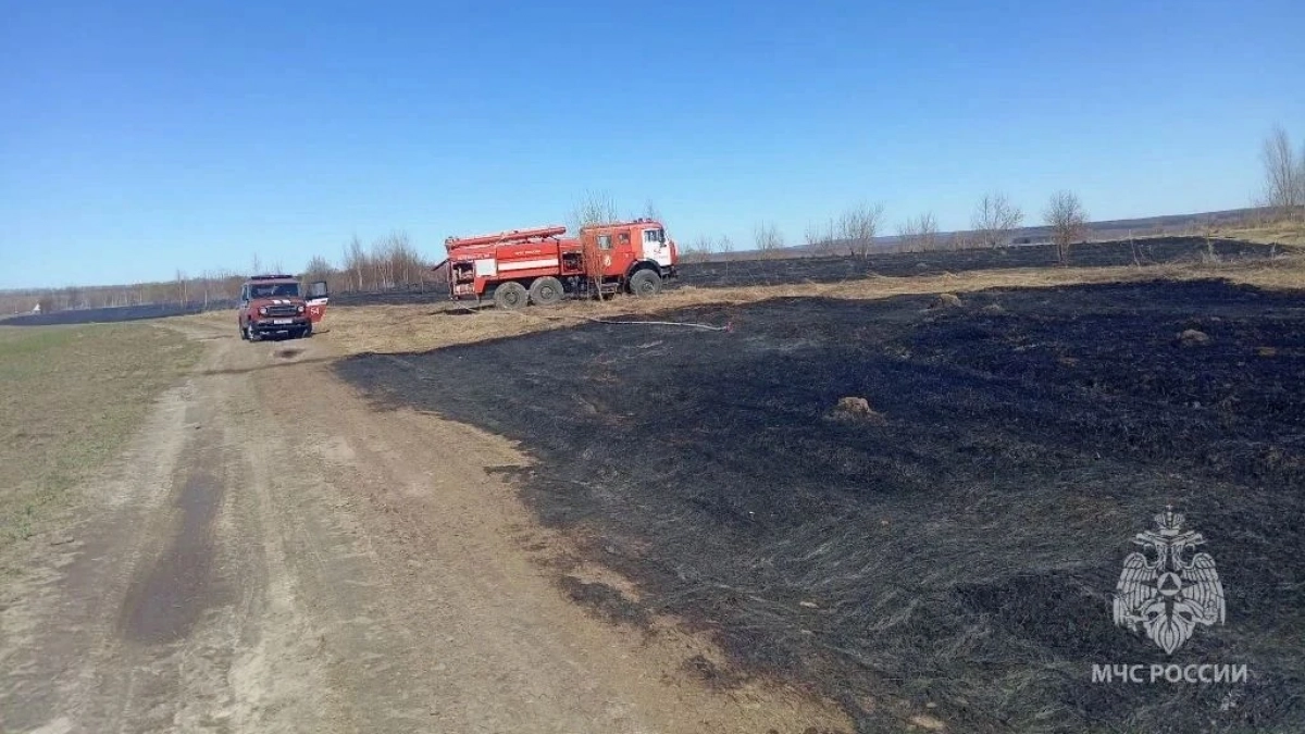 Сухая трава вспыхнула в Кстовском районе