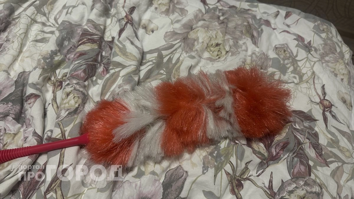 Генеральная уборка раз в неделю за 1 час: узнала японский лайфхак и больше не трачу столько времени 