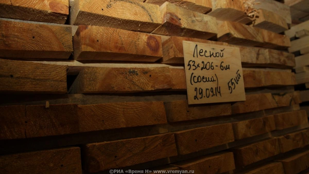 В Семенове построят цех по переработке древесины в биоуголь за 50 млн рублей